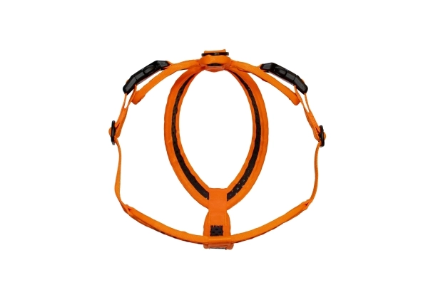 SOFTY Geschirr - Größe 4 - orange/schwarz